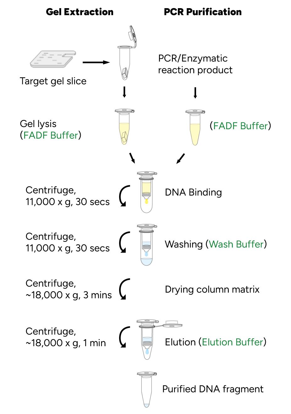 FavorPrep GEL/PCR Purification Mini Kit Protocol