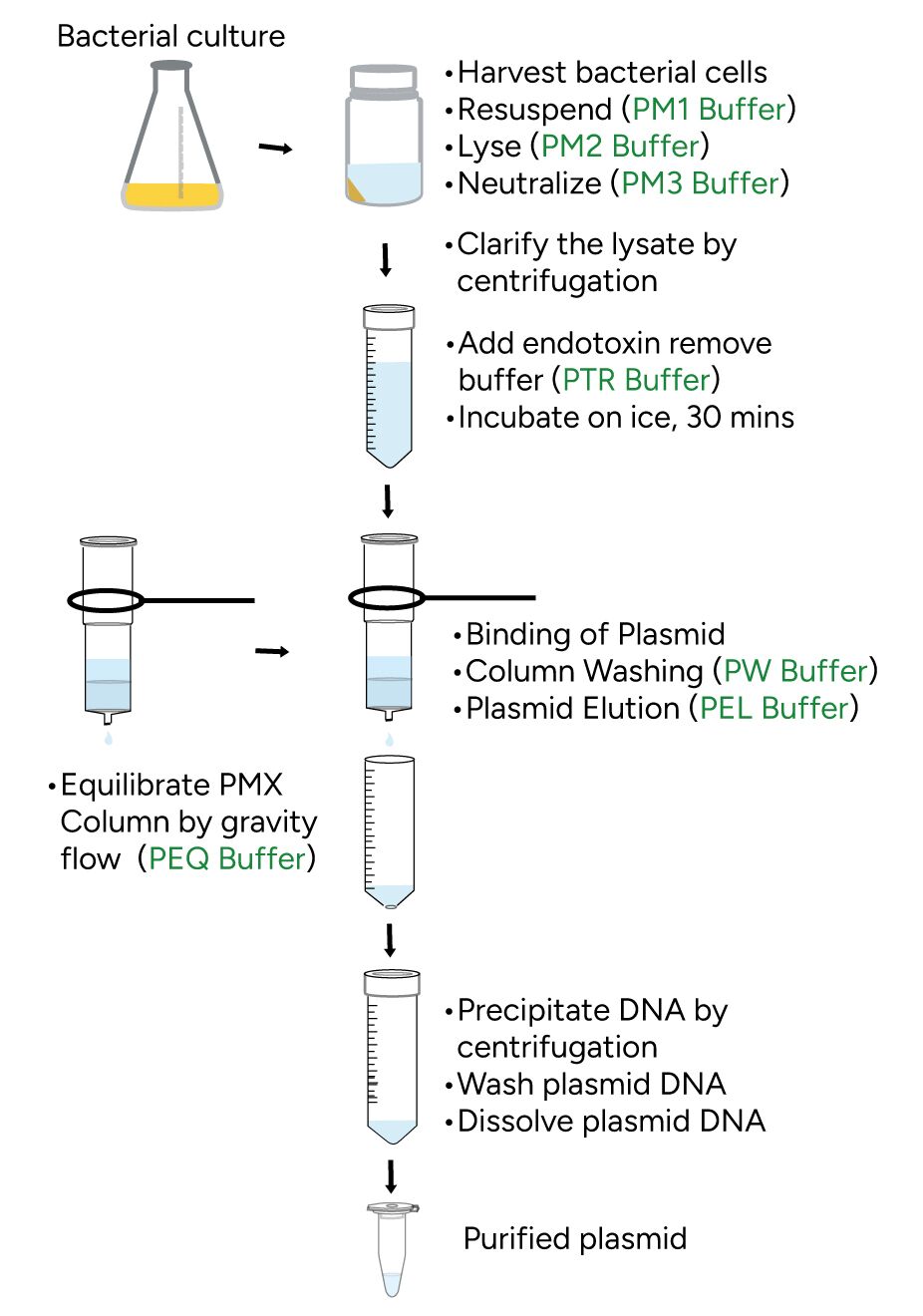 FavorPrep Endotoxin Plasmid DNA Extraction Maxi Plus Kit Protocol