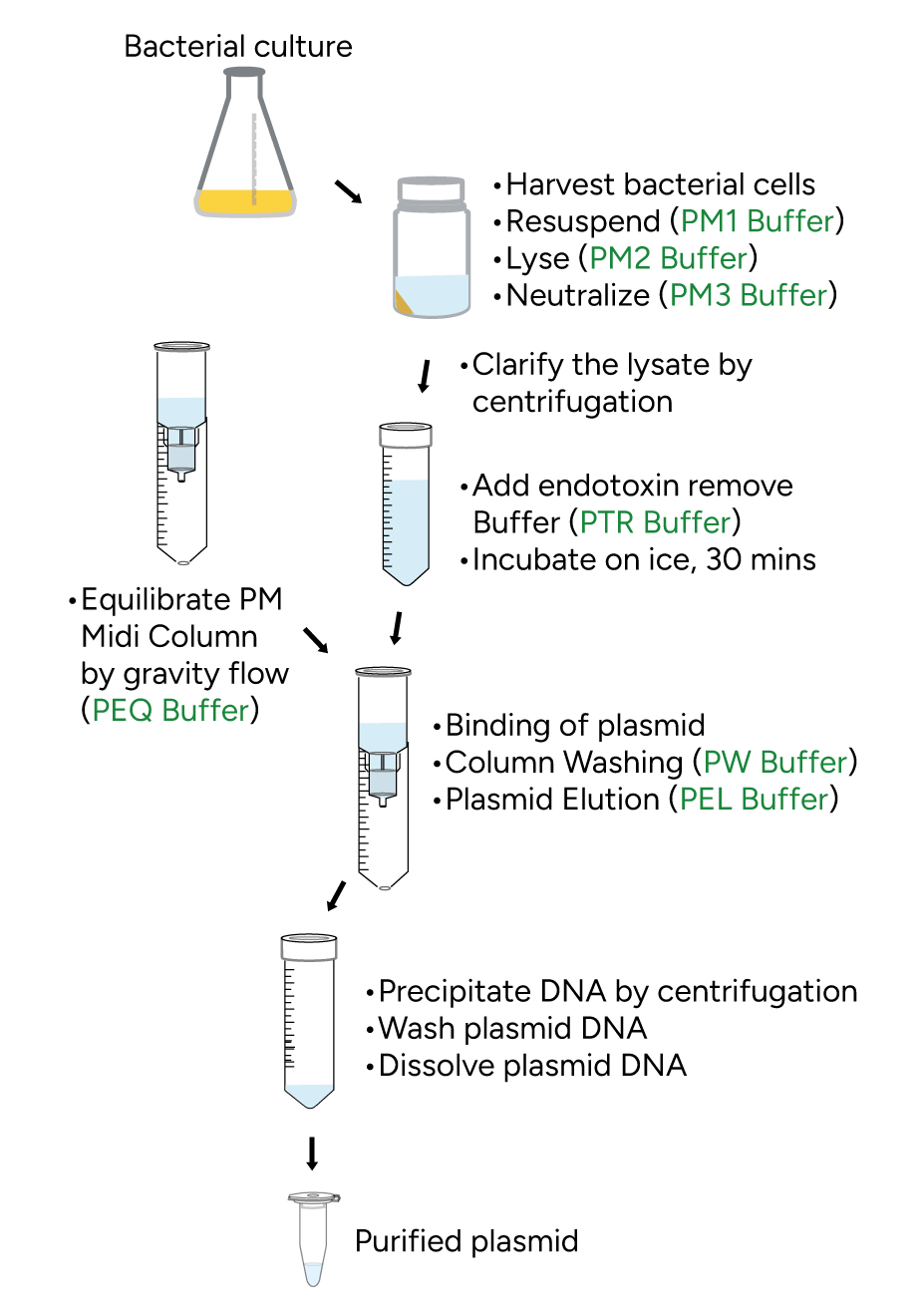 FavorPrep Endotoxin Free Plasmid DNA Extraction Maxi Kit Protocol