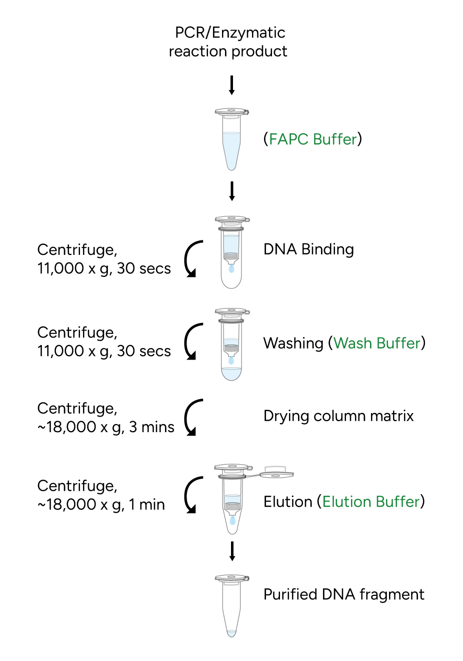 FavorPrep PCR Clean-Up Mini Kit Protocol