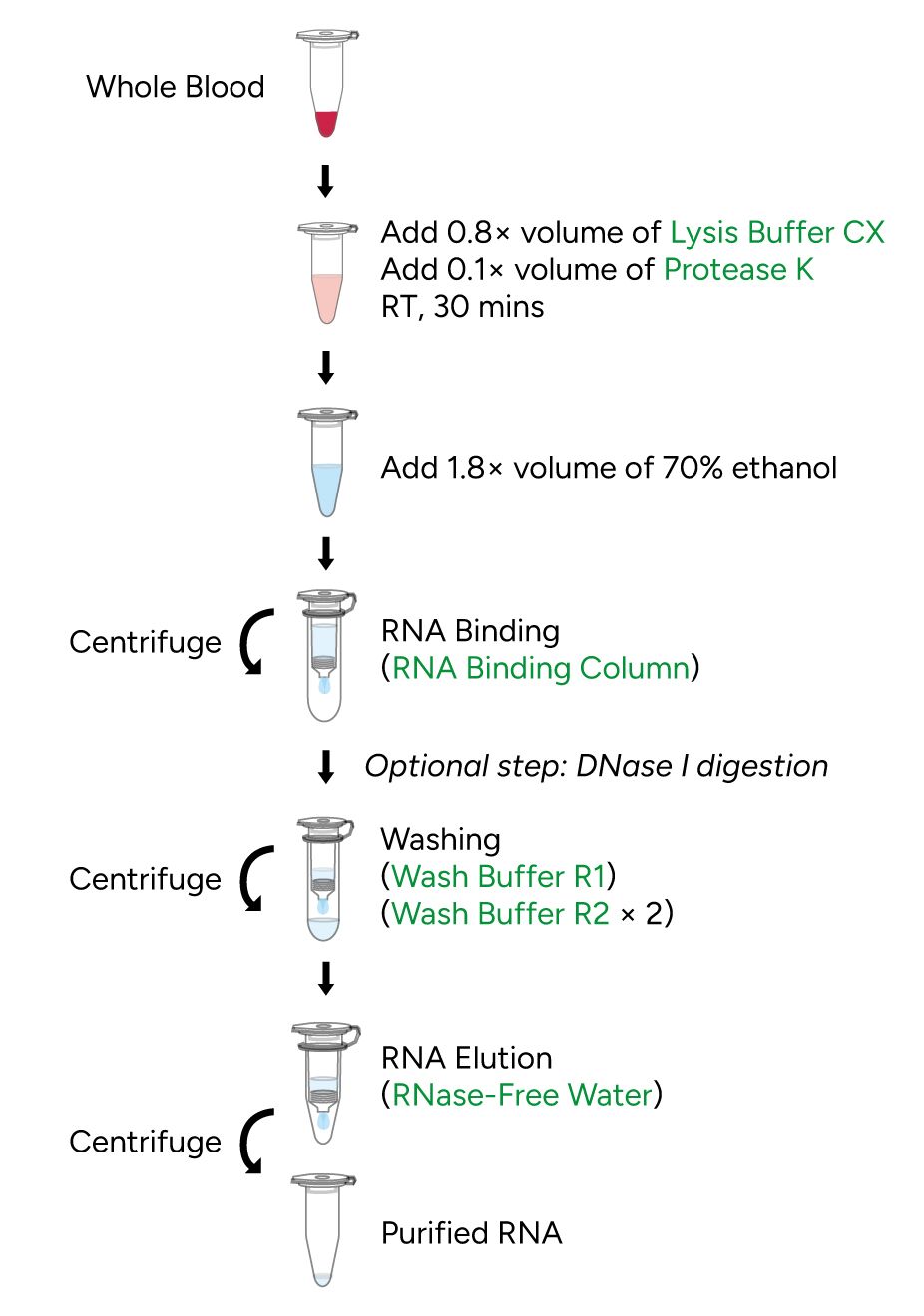 FavorPrep Whole Blood RNA Kit Protocol