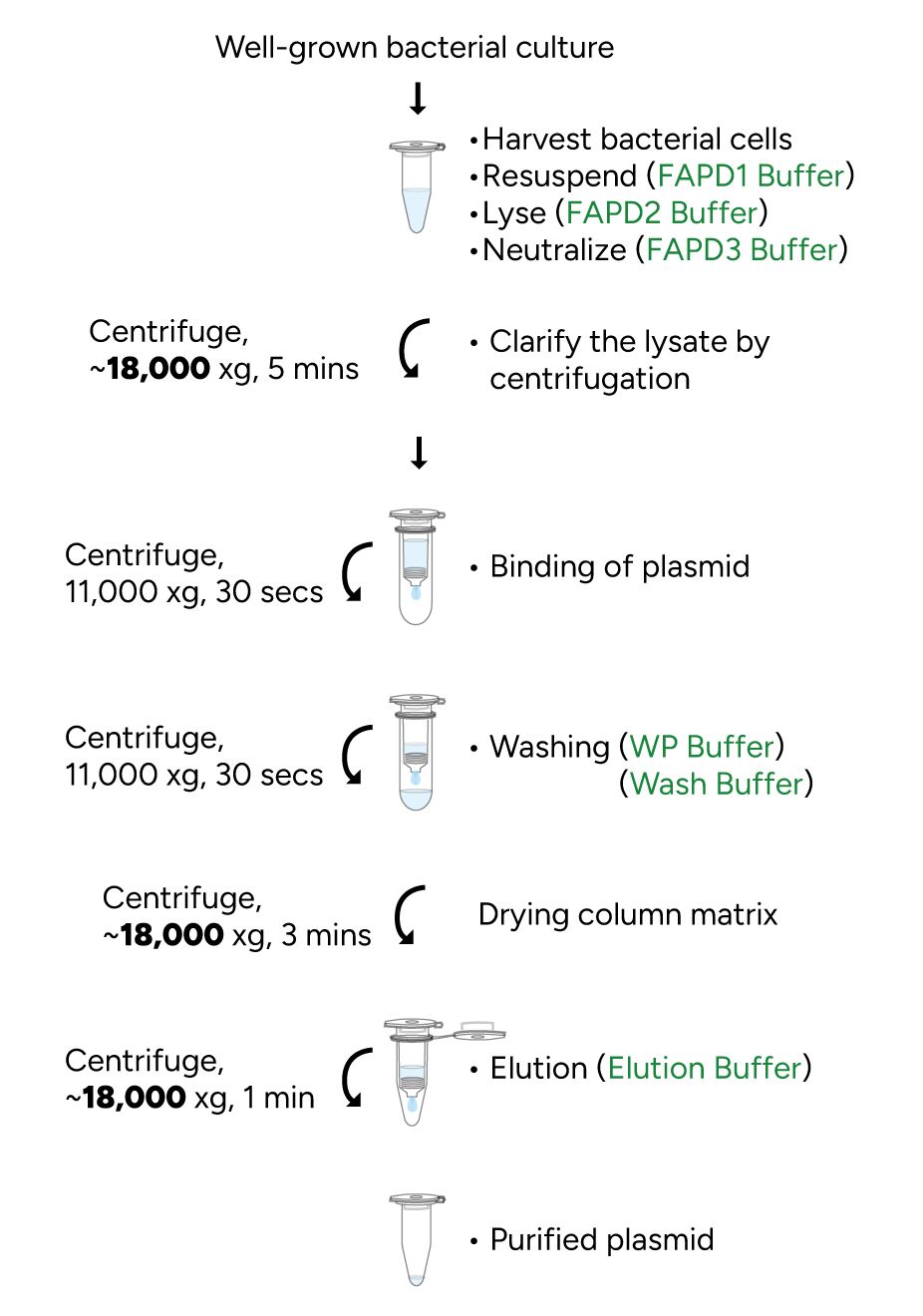 FavorPrep Plasmid DNA Extraction Kit (Fast) Protocol