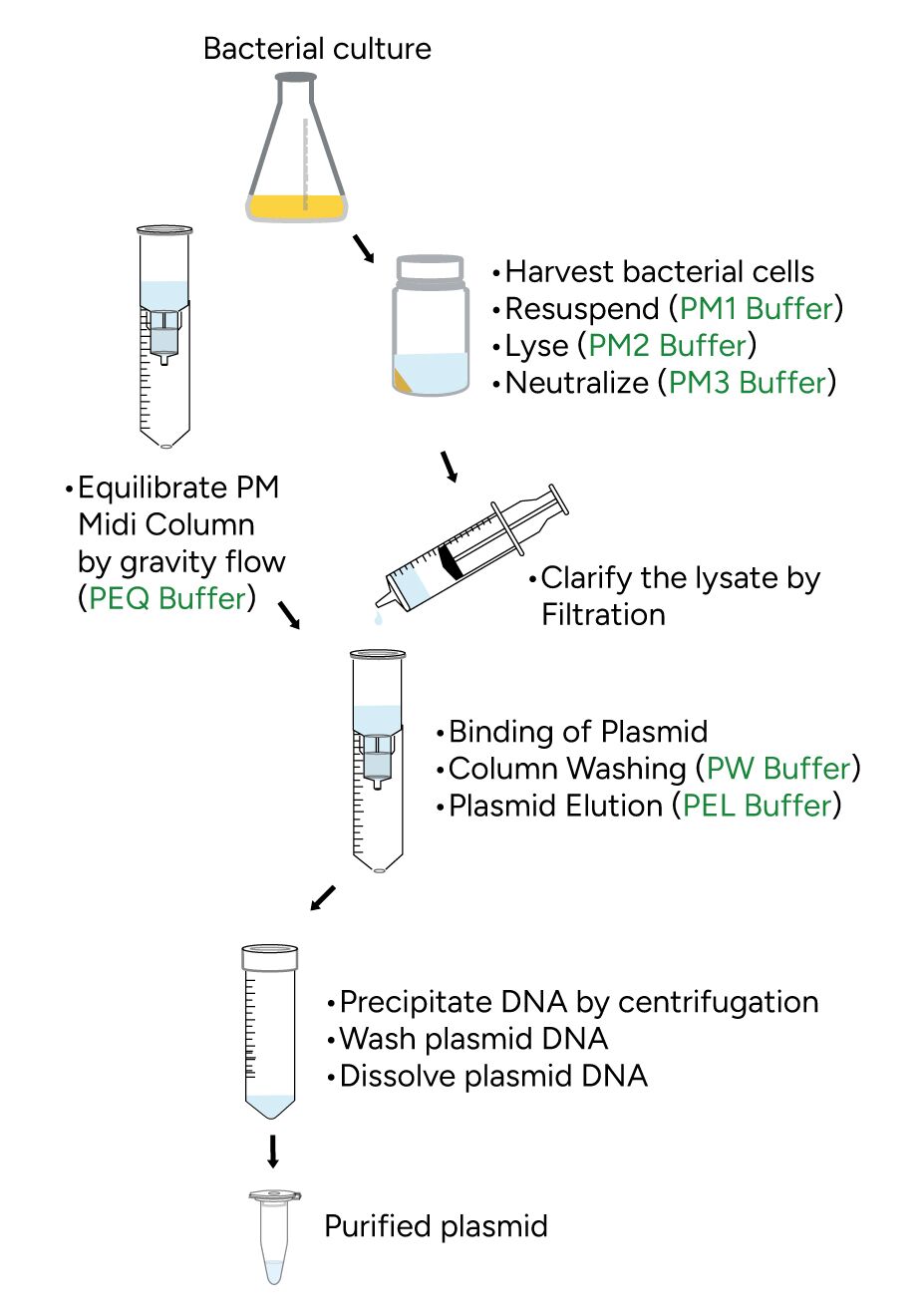 FavorPrep Plasmid DNA Extraction Maxi Kit Protocol