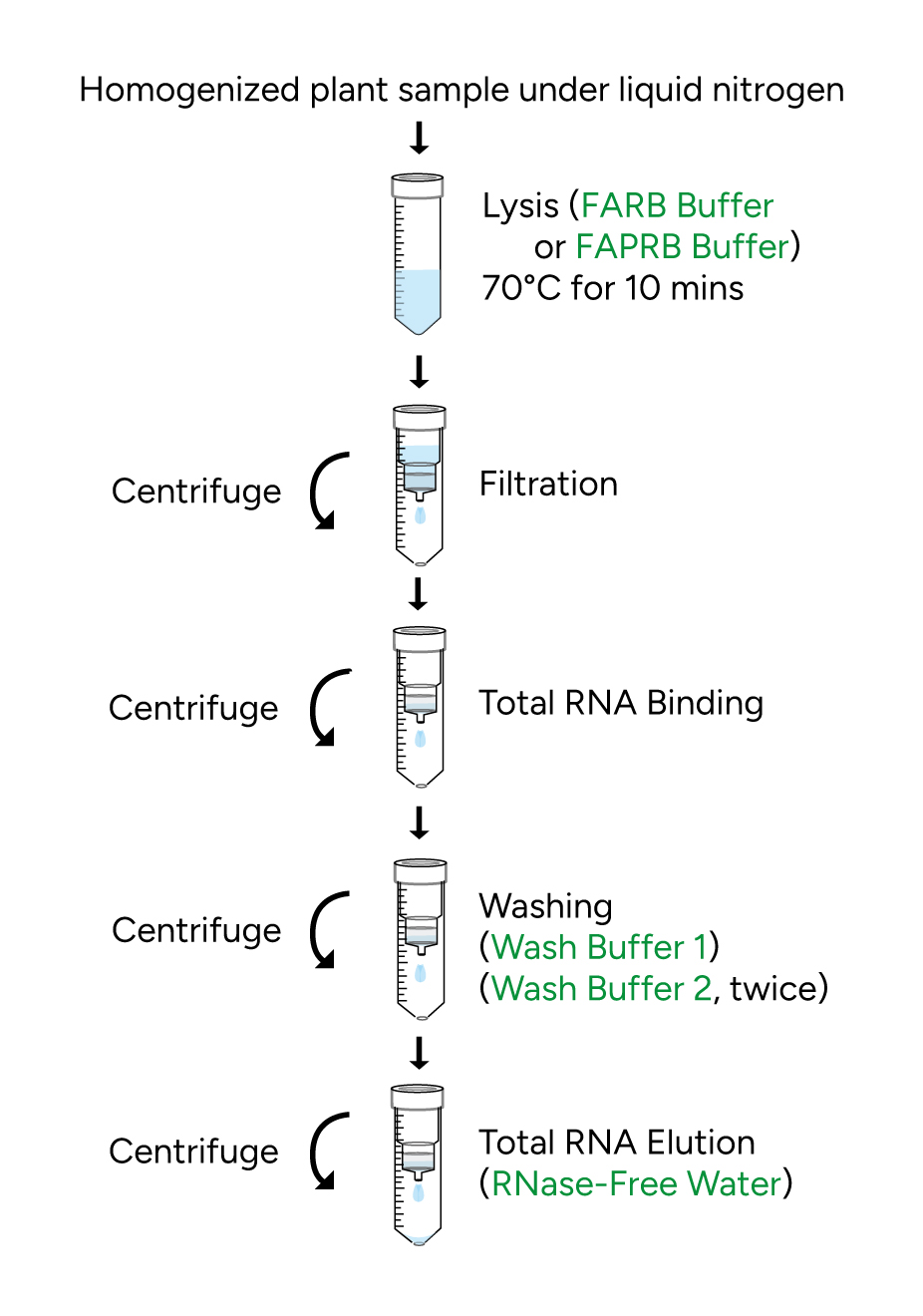 FavorPrep Plant Total RNA Maxi Kit Protocol