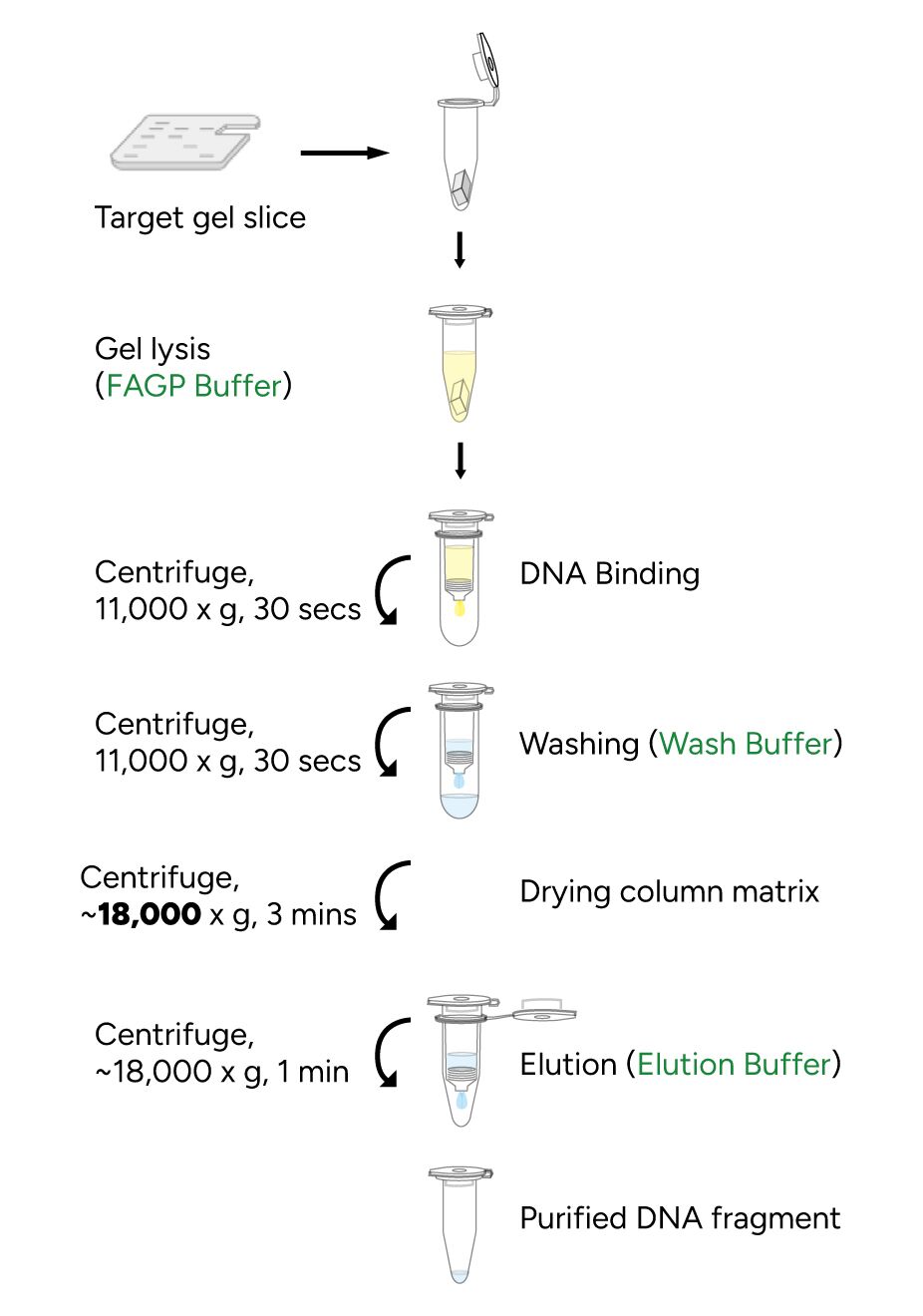 FavorPrep GEL Purification Mini Kit Protocol