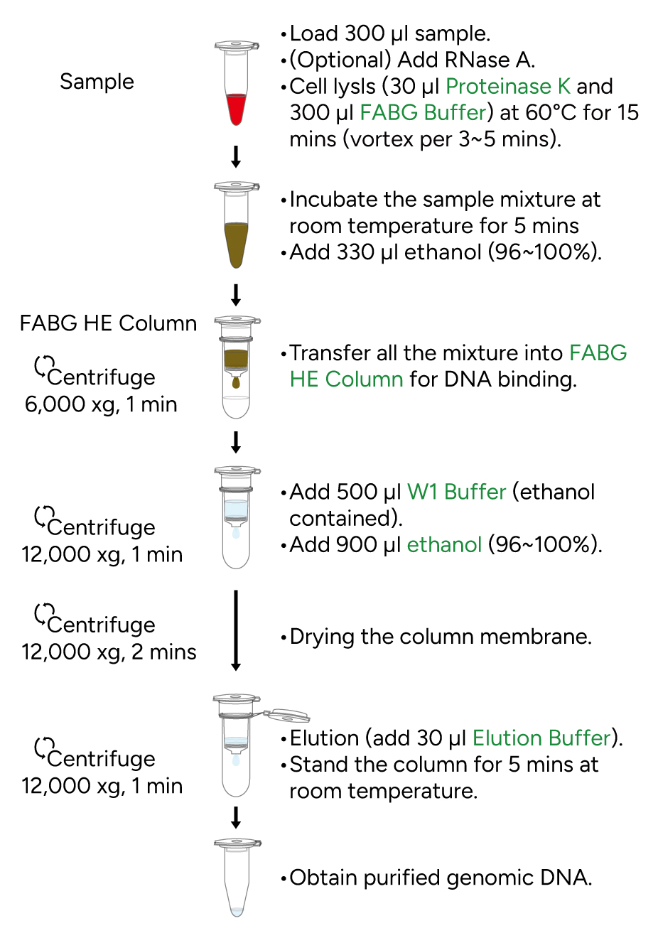 FavorPrep Blood Genomic DNA Extraction Kit Protocol