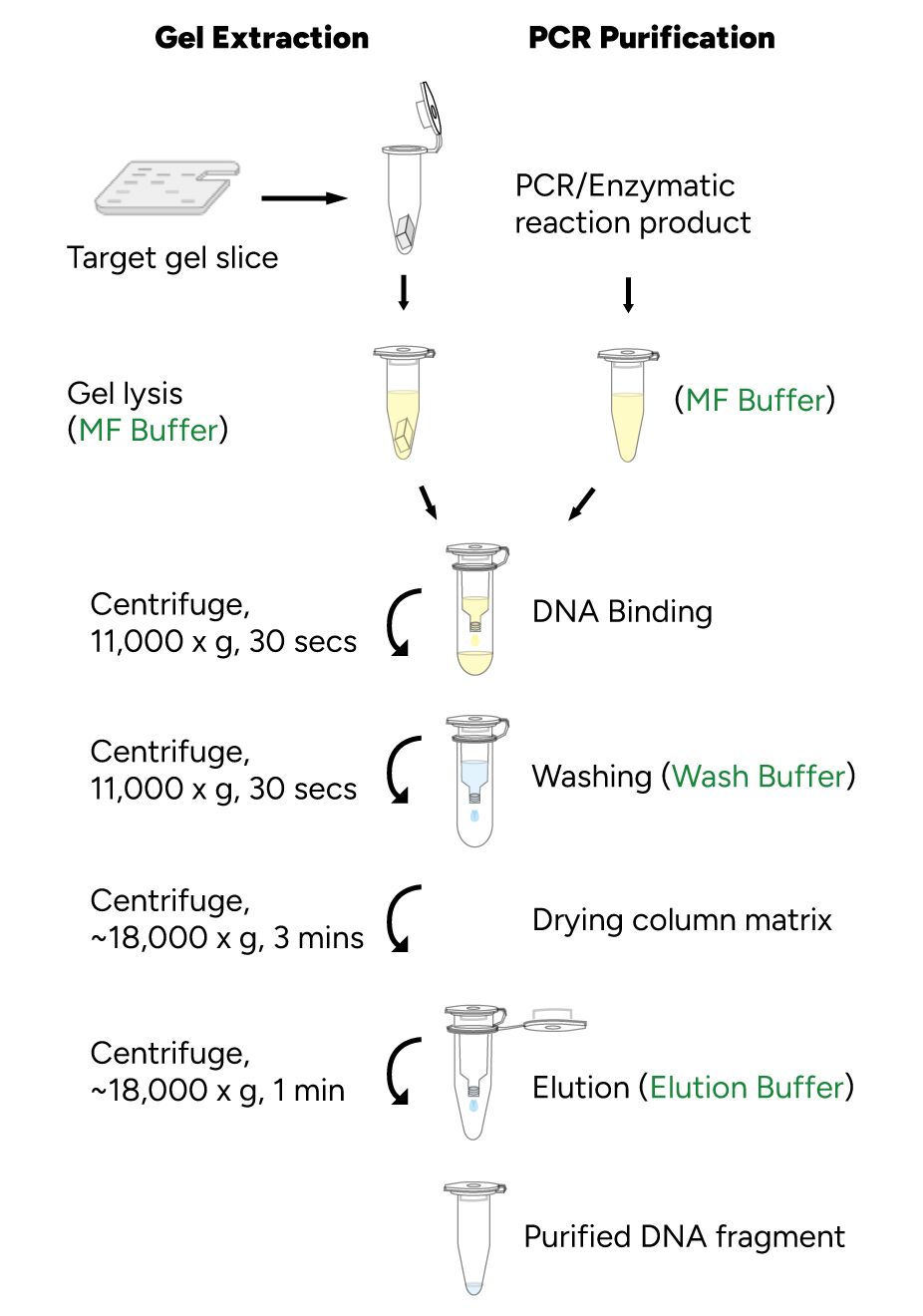 FavorPrep MicroElute GEL/PCR Purification Kit Protocol